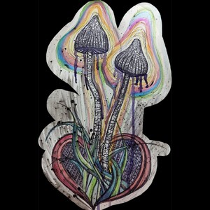 Magnete da 3" - I funghi sono consapevoli di sé?