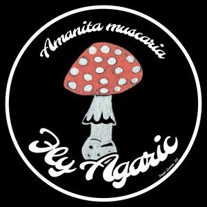 Adesivo de vinil 3" - Amanita muscaria / Fly Agaric