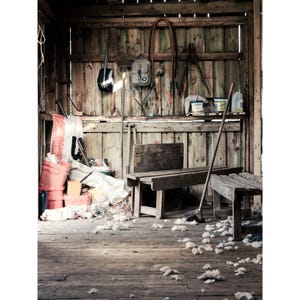Sheep shearing, shed, fine art print, photographic print, rural Scotland, mountain art,