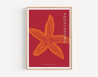 Stellar Stellar - Levendige onderwaterwereld met elektrische oranje zeester op dieprode achtergrond