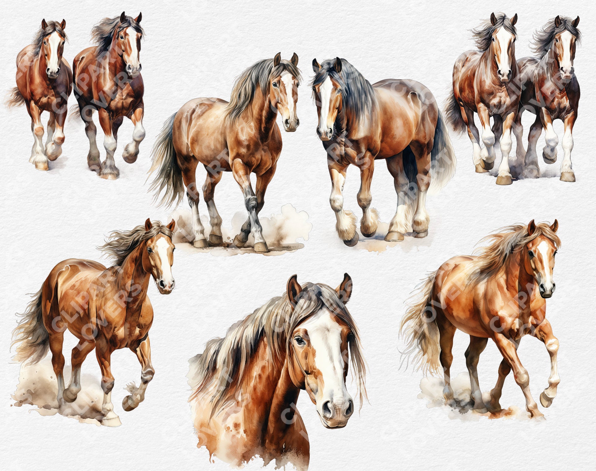Horse Breeds Clip Art PNG Watercolor Clipart Bundle for Sublimation ...
