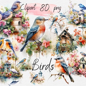 Paquete de imágenes prediseñadas de acuarela de pájaros para impresión bajo demanda Clip Art PNG Diseños de sublimación de aves, pegatinas digitales Birdful, productos digitales, IA