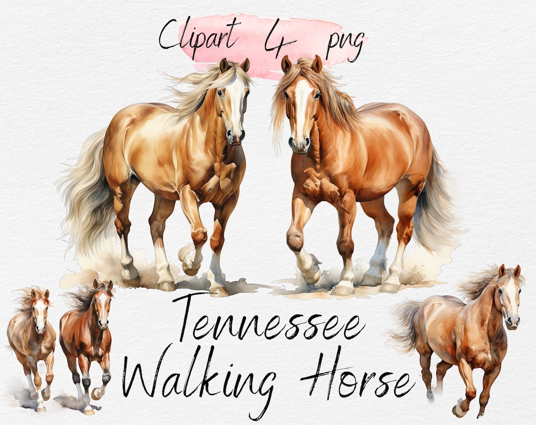 Watercolor Tennessee Walking Horse Clipart Bundle (PNG Digital Download ...