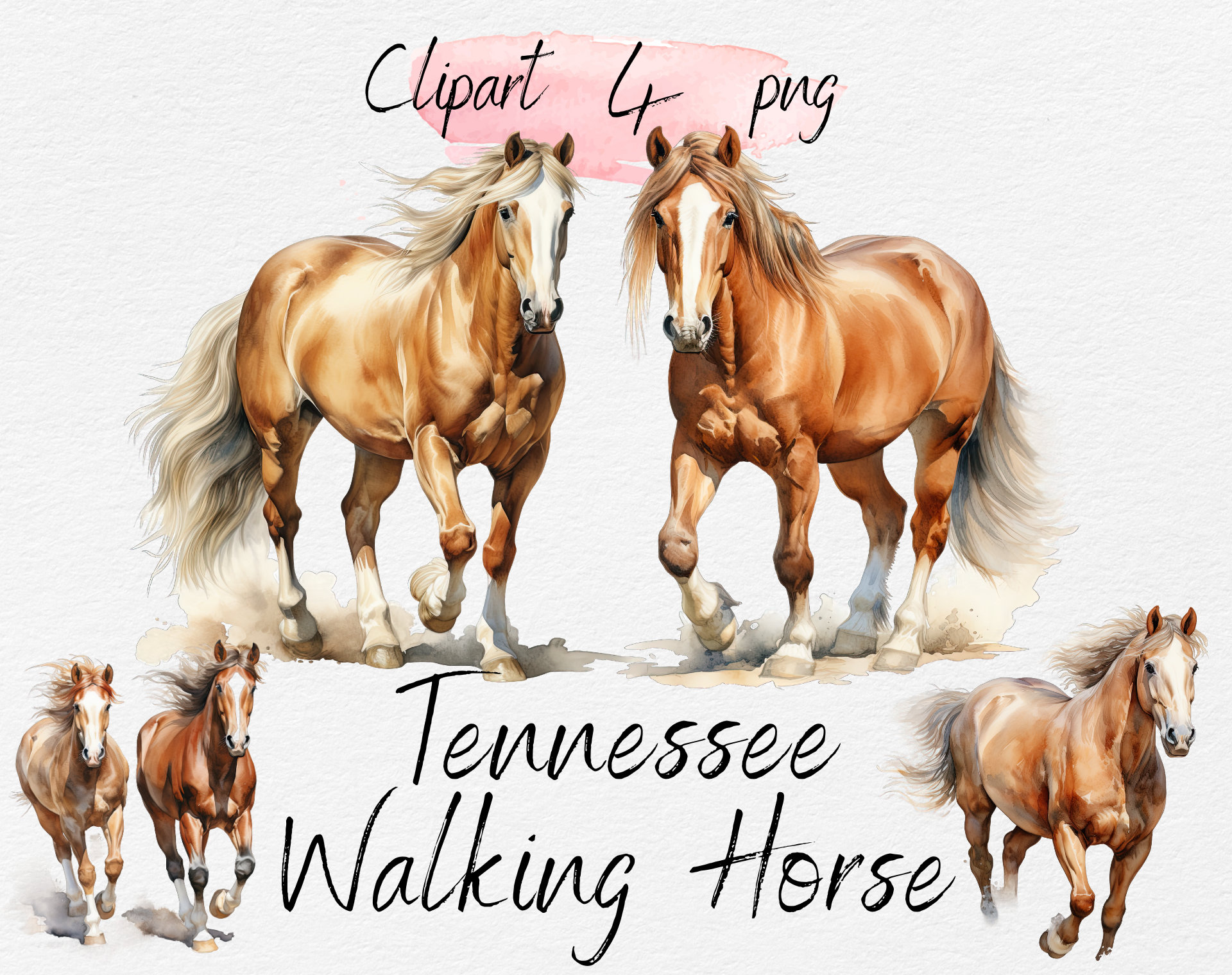 Tennessee Walking Horse Clip Art PNG Watercolor Clipart Bundle for ...