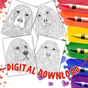 23+ Coloring Pages Golden Retriever