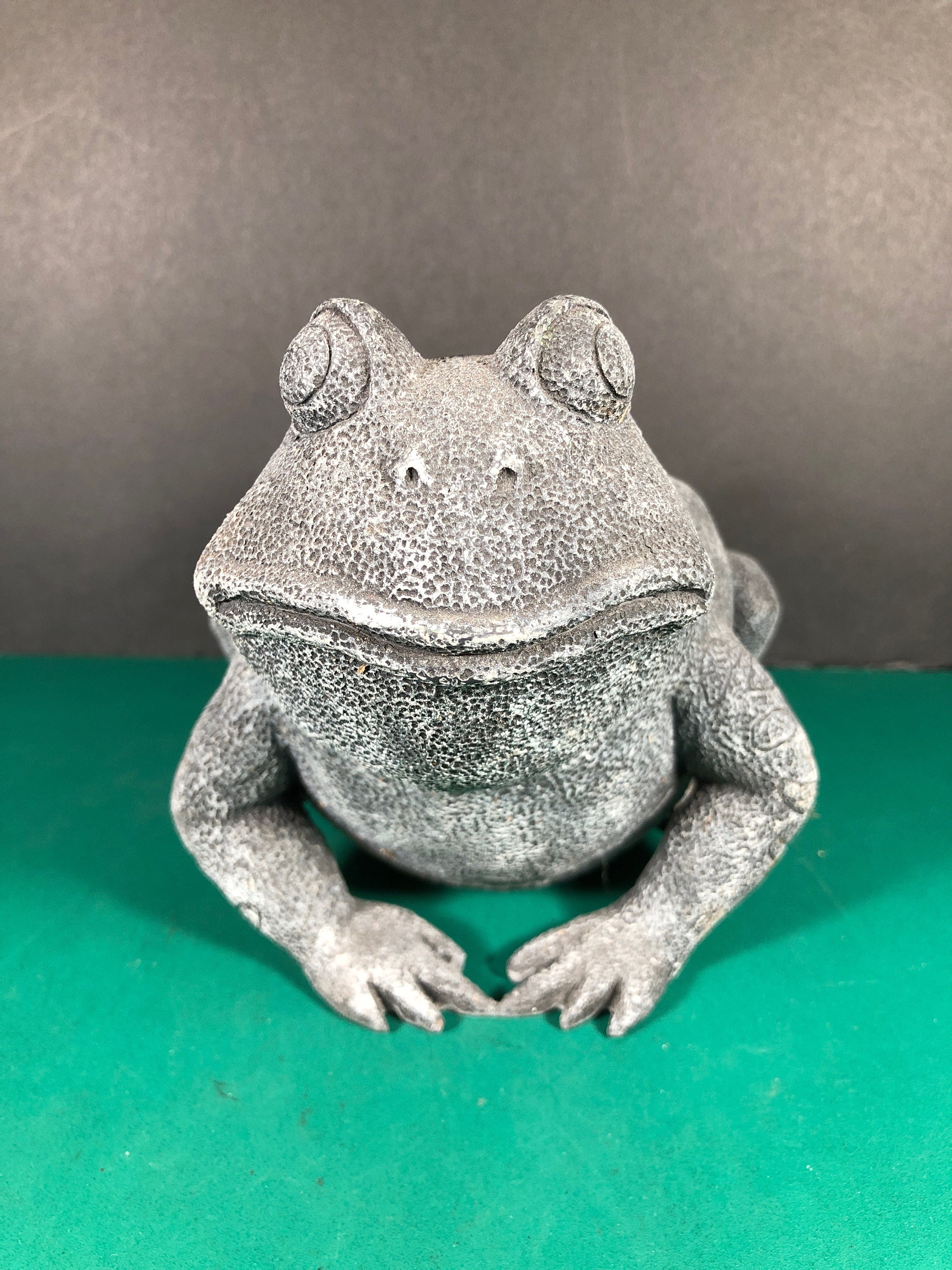 Didiseaon Rana Galleggiante in Resina Per Laghetto Da Giardino Statua Da Esterno Realistica Decorazione Per Acquario e Giardino