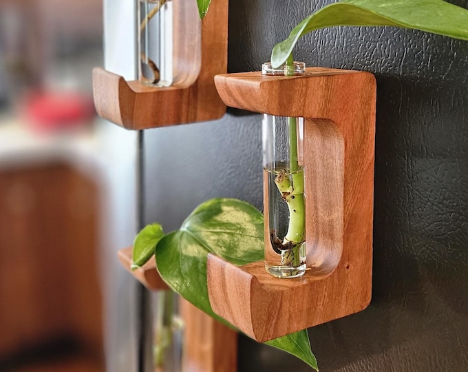 Magnetic Plant Hanger Set, Wall Propagation Station with Glass Tubes, Hanging Vase Gift