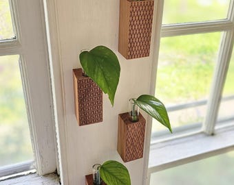 Wall Mounted 4 Pack Plant Hangers for Indoor Boho Decor, Hanging Propagation Station Gift for Plant Lovers and Cuttings, Easy Hang Holders
