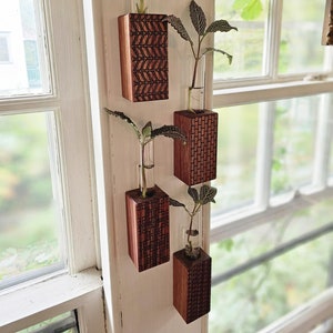 Hanging Plant Holder 4 Pack Assortment, Boho Propagation Station Gift for Plant Lovers, Wall Vase Home Decor, Wall Hanger for Clippings