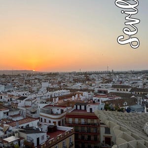 Setas de Sevilla Postcard