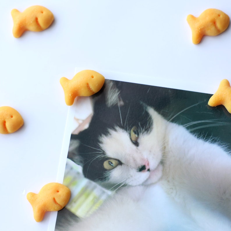 Holdfish Fridge Magnets Set of 6 Pcs, Goldfish Crackers Lovers Gift Idea, Mother's Day Gift image 5