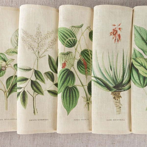 Set van 6 natuurlijk linnen dinerservetten met botanische print, apothekeresthetiek, Cottagecore, plantendecor, stoffen servetten, geneeskrachtige kruiden