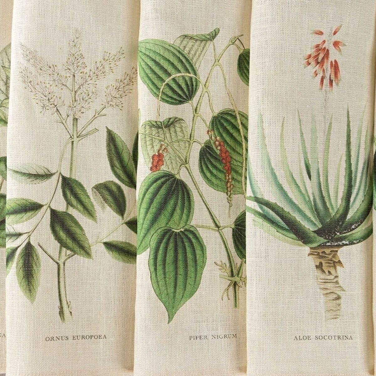 Set of 6 Natural Linen Dinner Napkins With Botanical Print, Apothecary Aesthetics, Cottagecore, Plant Decor, Cloth Napkins, Medicinal Herbal - Etsy