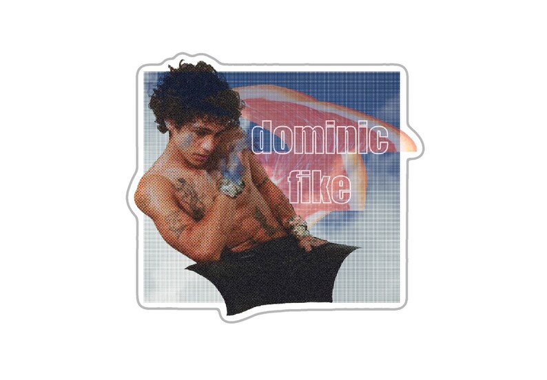 Puede incluir: Una pegatina con una foto de un hombre sin camisa con cabello oscuro y tatuajes. El hombre est&aacute; sentado con los brazos cruzados y mirando hacia abajo. El fondo es un patr&oacute;n de cuadr&iacute;cula azul y blanco con un gr&aacute;fico de fruta roja y naranja. El texto "dominic fike" est&aacute; escrito en letras blancas delineadas en el gr&aacute;fico de la fruta.