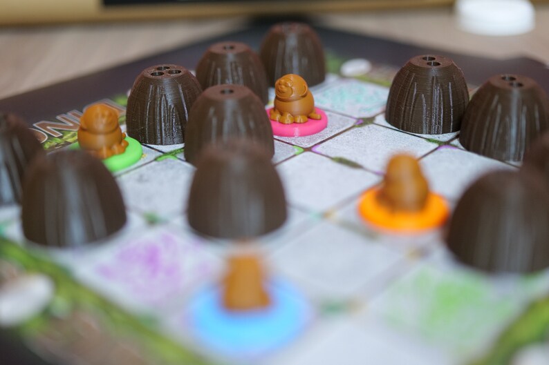 Coco Dingo, a board game for the whole family image 4