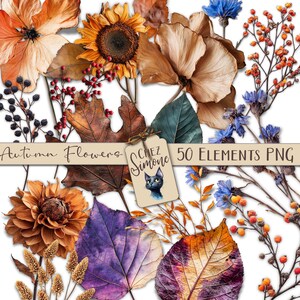 Coleção 50 elementos de flores e folhas secas de outono, folhagem outonal, diário de lixo de halloween, download instantâneo CU