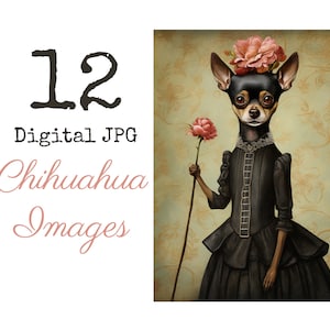 12 Images chien race Chihuahua Cliparts portrait Royal minimaliste Wes Anderson costume d'époque beyond the rainbow bridge PERSONALIZED