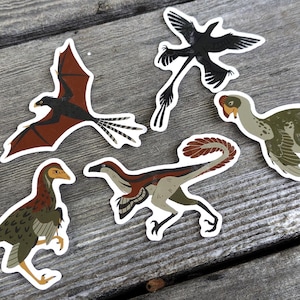 Dinosaur Stickers — Velociraptor, Microraptor, Oviraptor, Yi qi, Jianianhualong