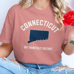 Comfort Colors Connecticut State T-Shirt, Vintage Connecticut Pride Tee, Classic New England Shirt, Retro Connecticut Map