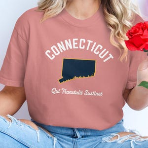 Comfort Colors Connecticut State T Shirt, Retro Connecticut Graphic Tee, State Outline Shirt, Vintage Connecticut Shirt