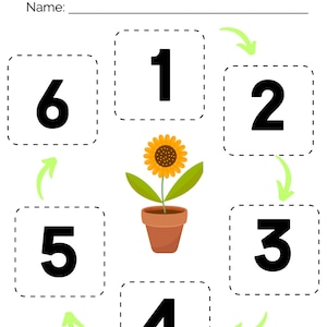 Pre-K, kleuterschool, kleuterschool volgordekaarten voor de levenscyclus van planten