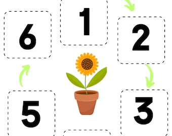 Karty sekwencji cyklu życia roślin dla przedszkolaków i przedszkolaków