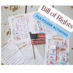 Bill of Rights-Amendments-Constitution File Folder Activities