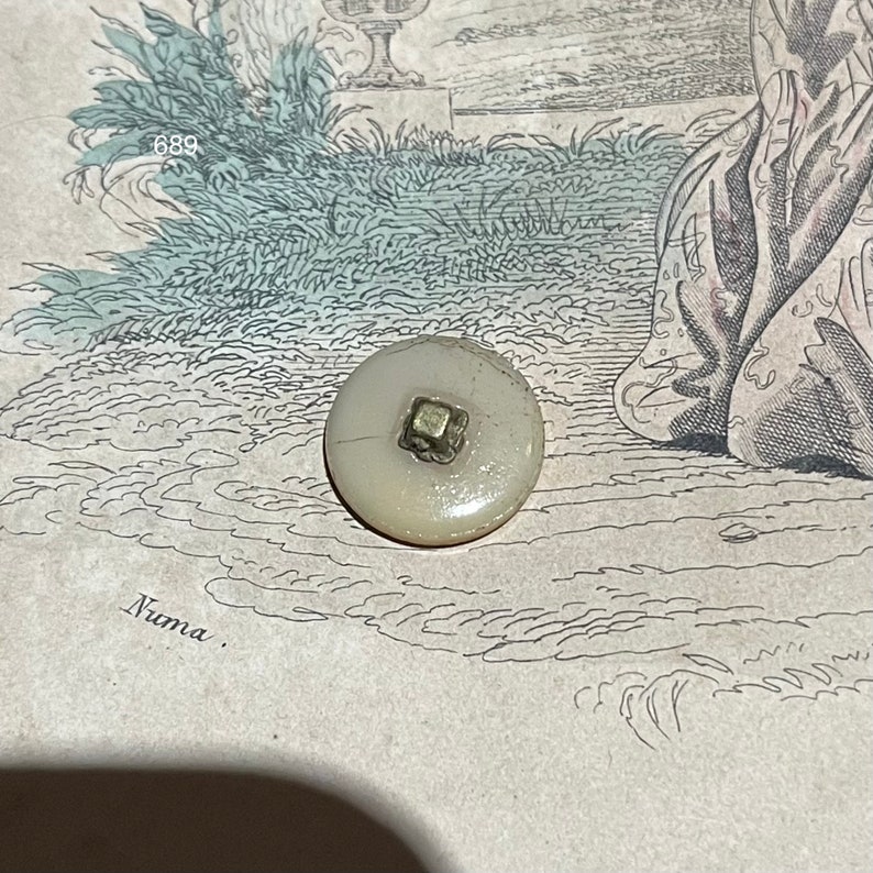 Old French civil collector's button in mother-of-pearl 19th century bee motif image 2