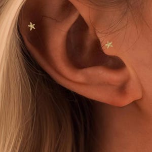 Tiny Starfish Shell Boho Push Pin Labret • G23 Titanium Threadless Flat Back Earring • Tragus Stud • Helix Stud • Cartilage Stud • Nose Stud