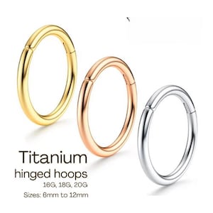 20G, 18G, 16G Round Earring • Minimalist Thin Hoops • Solid G23 Titanium Nose Ring • Nose Hoop  • Seamless Hinged Clicker Hoop • Septum Ring