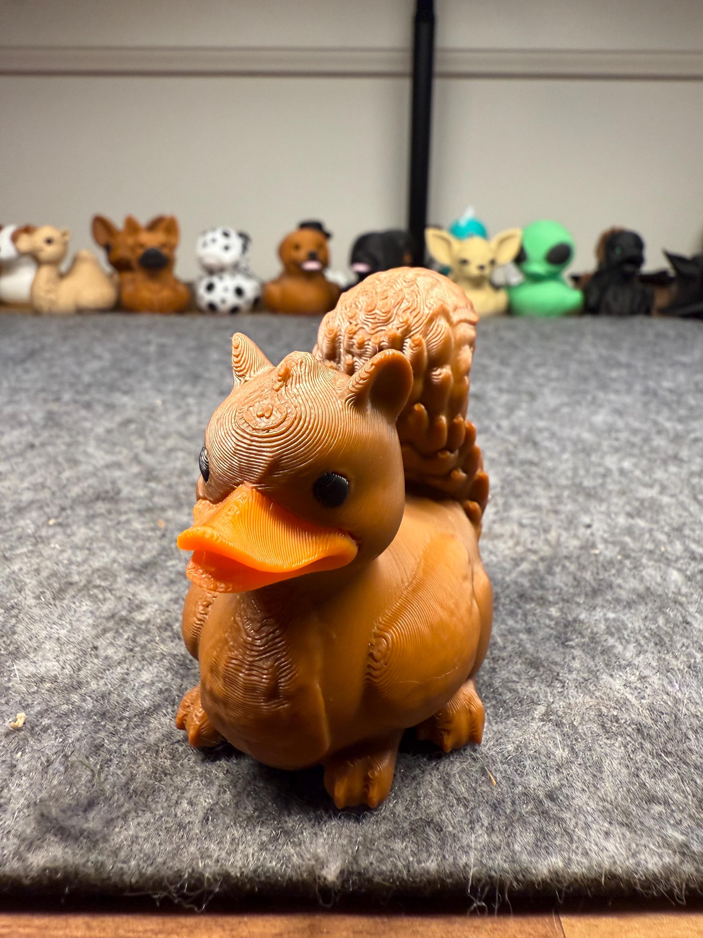 Squirrel Duck | Ducking | Animal Duck| Fun | Themed Duck