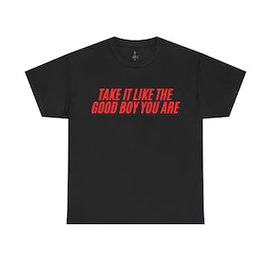 Take It Like the Good Boy You Are Unisex TShirt Funny Graphic Tee Sarcastic Humor Shirt Gift for Him Her Trendy CasualWear Statement Apparel