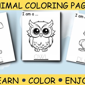 Páginas para colorear de animales, Aprendizaje para niños, Educación para niños, Imprimible con animales, Actividad para niños, Páginas para colorear para niños, Páginas imprimibles, PDF DIGITAL