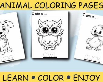 Animal Coloring Pages, Kids Learning, Education for Kids, Animal Printable, Kids Activity, Kids Coloring Pages, Printable Pages, PDF DIGITAL