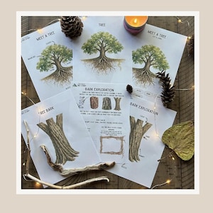 May include: A collection of educational tree study worksheets featuring illustrations of trees, roots, and bark textures. The pages include text labels like Meet a Tree and Bark Exploration, with diagrams showing tree parts and space for bark rubbings.