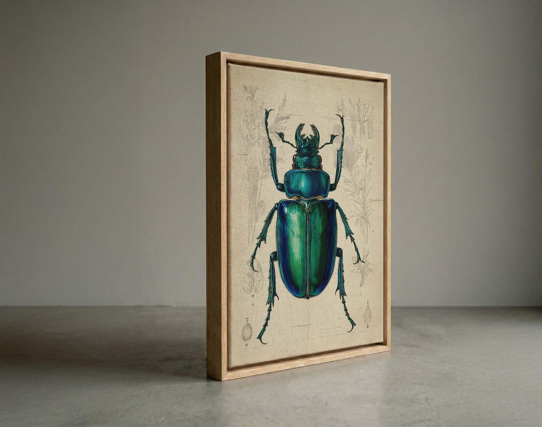 Vintage Green Beetle Canvas Print, Antique Entomology Wall Art, Rustic ...