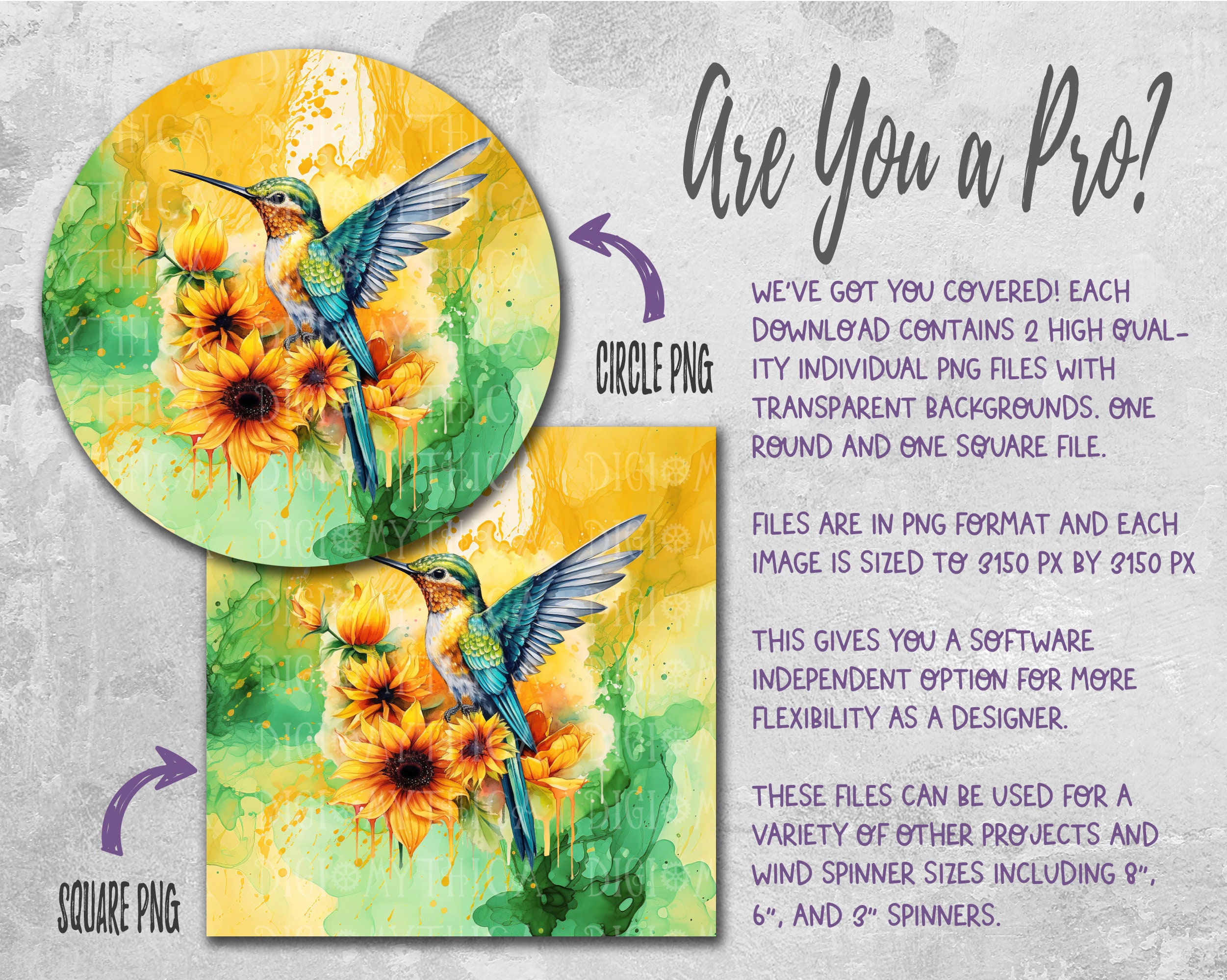 Hummingbird Wind Spinner Png, 10 in Bird Lover Windspinner Design