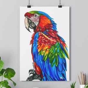 Colourful Parrot Art Print,Tropical Bird Wall Art,Vibrant Nature Decor,Hyperrealistic Animal Drawing,Gift for Bird Lovers,Jungle Wall Poster