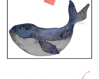 Illustration eines schwimmenden Blauwals, Aquarell und Stift: 7"x15" gedruckt auf 32pt Papierstärke mit hellblauer Naht natürlich strukturiert
