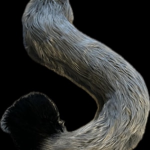 Custom Tail for Fursuit Furry Tail Animal Tail