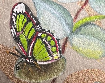 Eucalyptus and Malachite butterfly