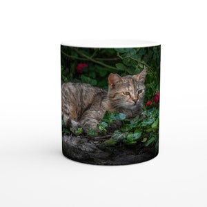 A cat laying in the red roses and green leaves - Ceramic 11oz mug
