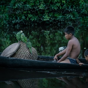 Venezuela, two Warao boys with three parrots in the boat, Museum-Quality Matte Paper Poster