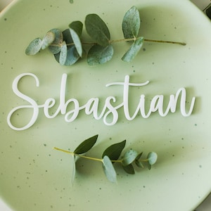 May include: A white wooden name card with the name "Sebastian" written in cursive script. The card is placed on a light green plate with eucalyptus leaves around it.