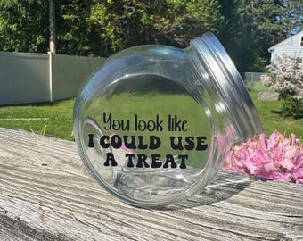 Glass Dog Treat Jar: You Look Like I Could Use A Treat, Pet Food Container