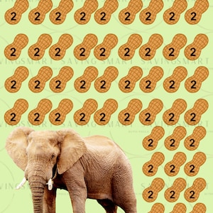 Saving Our Peanuts Savings Challenge