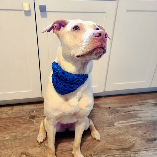 Slip-On Dog Bandana