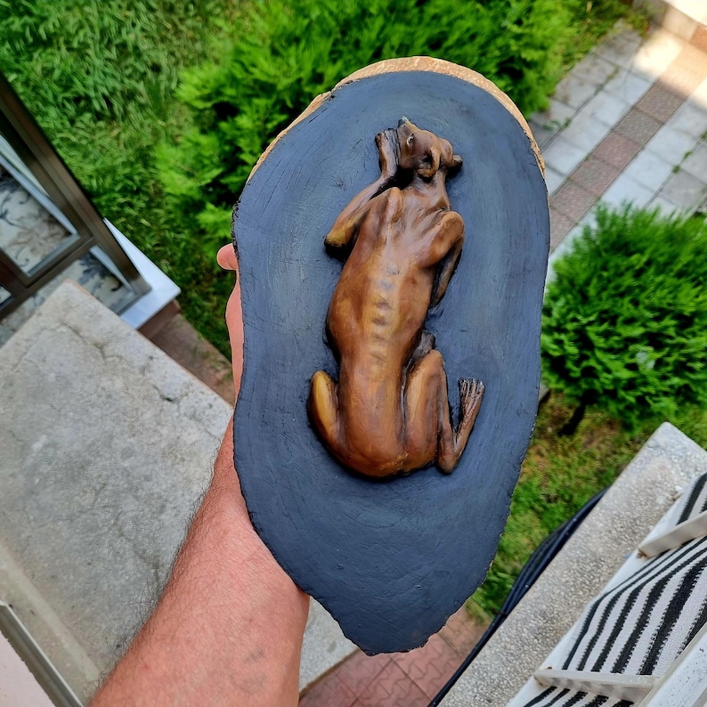 May include: A brown, sculpted figure of a dog in a resting position mounted on a dark, irregular, oval-shaped wooden plaque with a natural light-colored edge. The dog is depicted from a top-down perspective with its head turned toward its back.