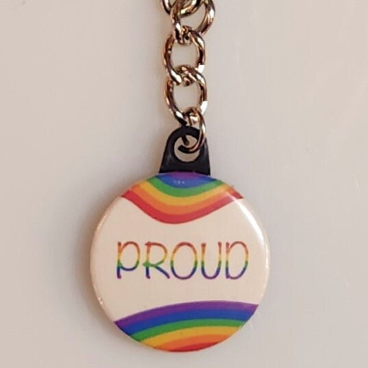 Pride Flags Key Pride Flag Button Keychain: LGBTQIA+ Pride Accessories - Etsy