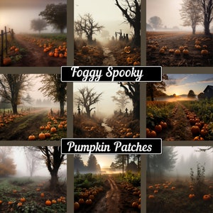 May include: A collage of nine images showing foggy, spooky pumpkin patches. The images feature paths lined with pumpkins, trees, and a sunset in the distance. The text "Foggy Spooky Pumpkin Patches" is written across the center of the collage.